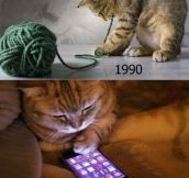 90s Cats Will Understand