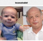 Wallace Shawn Baby