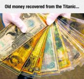 Money Of The Sea
