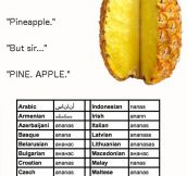 Pineapple And It’s Final