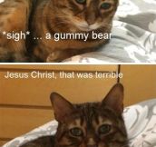 Sad Cat Tries Comedy