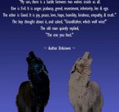 Story Of Two Wolves