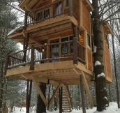 Now That’s An Epic Tree House