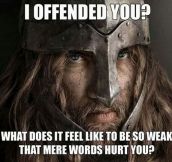So You Find It Offensive?
