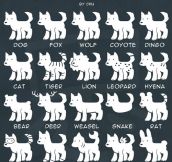 Lazy Guide To Drawing Animals