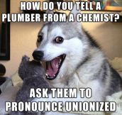 Difference Between A Plumber And A Chemist