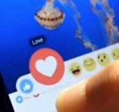 Police Warn Facebook Users to STOP Using Reactions Function… Here’s Why