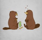 How a beaver flirts with a platypus