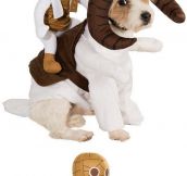 Brilliant Star Wars Costumes For Dogs