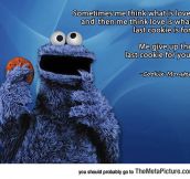 The Cookie Monster Is A Lot Deeper Than I Thought