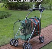 Stroller For Cat People