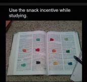 Hacks To Effective Studying