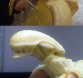 Now This Is Bananas