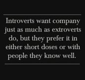 Truth About Introversion