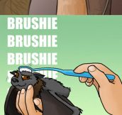 Brushing A Bat’s Head