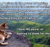 Believe In The Power Of The Bark
