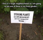 Sneaky Plant Thieves