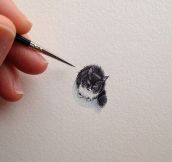 Teeny-Tiny Kitty Sketch