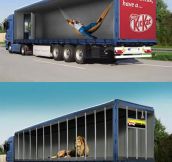 Creative Truck Advertisements