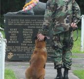 Taken At The US Marine’s War Dog Memorial