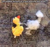 Proof That Souls Actually Exist