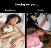 Sleeping With My Pets
