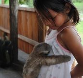 Baby Sloth Hugs Girl