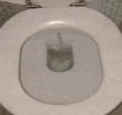 The Reason You Should Always Flush First