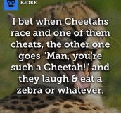 When Cheetahs Become Cheaters