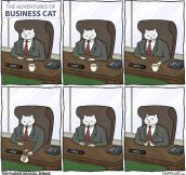 Business Cat At Work
