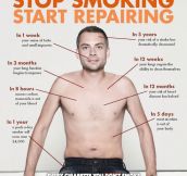 Quit Smoking, Start Repairing