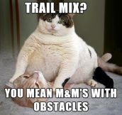 What Do You Mean Trail Mix?