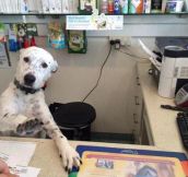 Ma’am Calm Down, I’m Doing Everything I Can