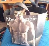 Abercrombie And Meow