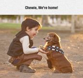 The Cutest Han Solo And Chewie Cosplay
