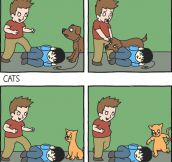 Dogs Vs Cats, The Main Difference