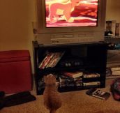 Watching The Lion King