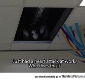 Giving Your Co-Workers Heart Attacks
