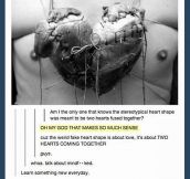 The Reason The Heart Is Shaped The Way It Is