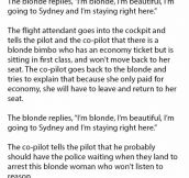 Beautiful Woman Causes Chaos On Plane. The Pilot’s Brilliant Solution Shocks Everyone.