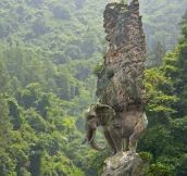 Elephant Carved From Natural Rock