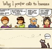 Why I Prefer Cats To Humans