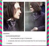 What Have They Done To You Harry?