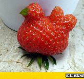 Chicken-Shaped Strawberry