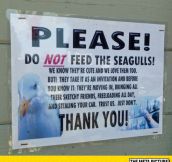 Don’t Feed The Seagulls