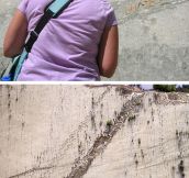 Wall Covered In Dinosaur Footprints