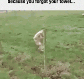 When You Forget Your Towel