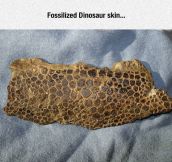 Fossilized Gem