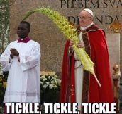 The Pope Loves Palm Sunday
