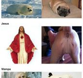 Pugs That Look Like Other Things